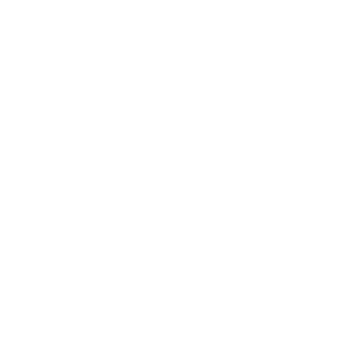 Solyom Immobilien Logo